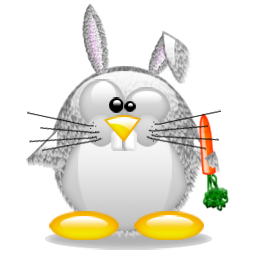 penguin pingouin pinguino 318